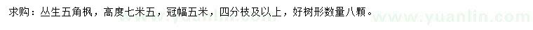 求購(gòu)高7.5米叢生五角楓