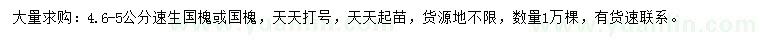 求購4.6-5公分速生國槐、國槐
