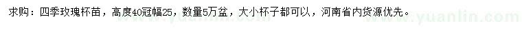 求購高40公分四季玫瑰