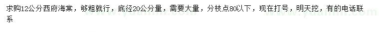 求購20量12公分西府海棠