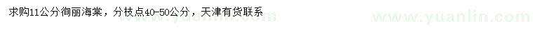 求購11公分徇麗海棠