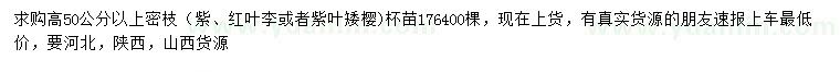 求購紫葉李、紅葉李、紫葉矮櫻