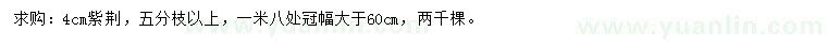 求購4公分紫荊