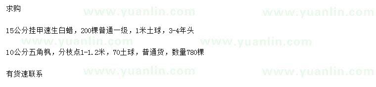 求購15公分速生白蠟、10公分五角楓