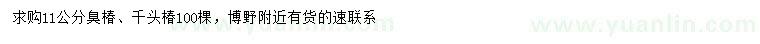 求購11公分臭椿、千頭椿