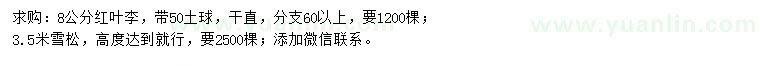 求購(gòu)8公分紅葉李、3.5米雪松