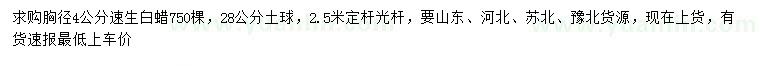 求購胸徑4公分速生白蠟