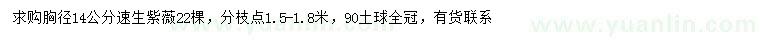 求購胸徑14公分速生紫薇