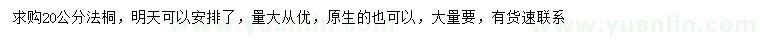 求購20公分法桐