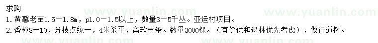 求購1.5-1.8米黃馨、8-10公分香樟