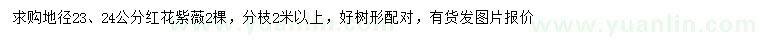 求購地徑23、24公分紅花紫薇