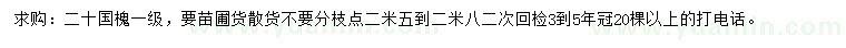 求購20公分國槐