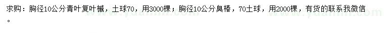 求購胸徑10公分青葉復(fù)葉槭、胸徑10公分臭椿