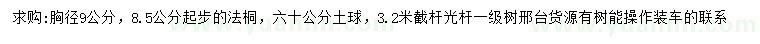 求購胸徑9公分法桐