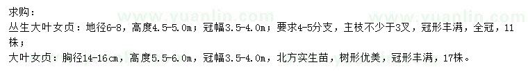 求購地徑6-8公分叢生大葉女貞、胸徑14-16公分大葉女貞