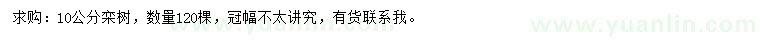 求購10公分欒樹(shù)
