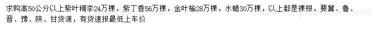 求購紫葉稠李、紫丁香、金葉榆等