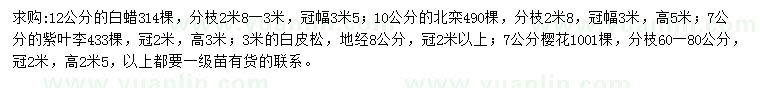 求購白蠟、北欒、紫葉李等