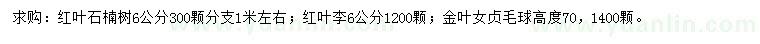 求購紅葉石楠、紅葉李、金葉女貞球