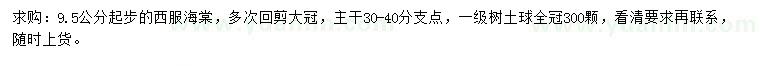 求購9.5公分起步西府海棠