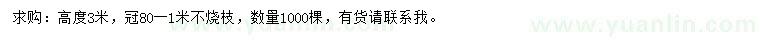 求購(gòu)高3米蜀檜