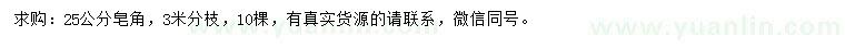 求購25公分皂角