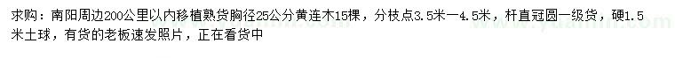 求購(gòu)胸徑25公分黃連木