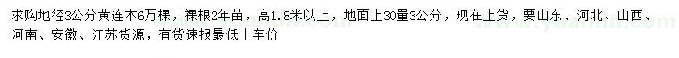 求購30量3公分黃連木