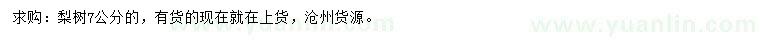 求購7公分梨樹