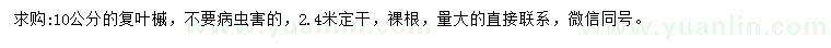 求購10公分復(fù)葉槭