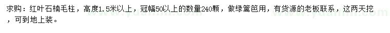 求購高1.5米以上紅葉石楠柱