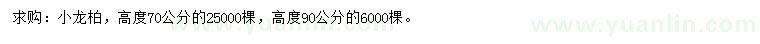 求購高70、90公分龍柏