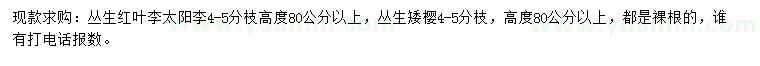 求購(gòu)叢生紅葉李、叢生太陽(yáng)李、叢生矮櫻