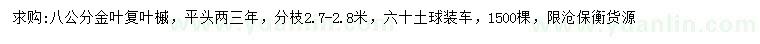 求購(gòu)8公分金葉復(fù)葉槭