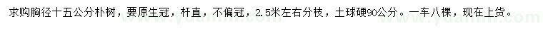 求購胸徑15公分樸樹