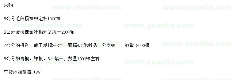 求購毛白楊、金枝槐、金葉榆等