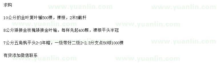 求購金葉復葉槭、金枝槐、金葉榆等
