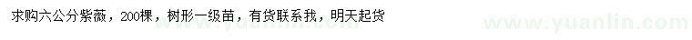 求購6公分紫薇