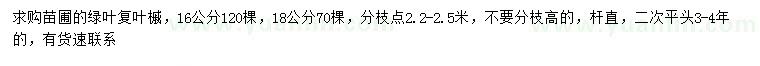 求購16、18公分綠葉復(fù)葉槭