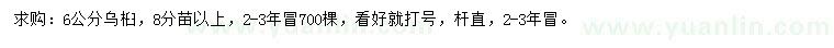 求購6公分烏桕