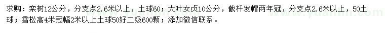 求購(gòu)欒樹(shù)、大葉女貞、雪松