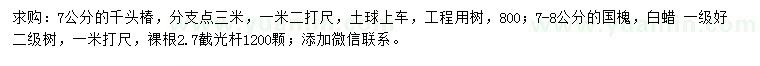 求購千頭椿、國槐、白蠟