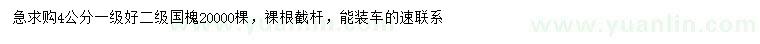 求購4公分國槐