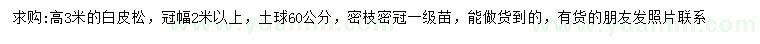 求購高3米白皮松