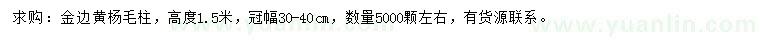 求購(gòu)高1.5米金邊黃楊柱