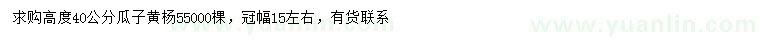 求購(gòu)高40公分瓜子黃楊