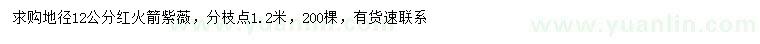 求購地徑12公分紅火箭紫薇