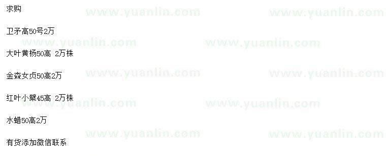 求購衛(wèi)矛、大葉黃楊、金森女貞等