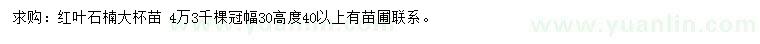 求購冠30公分紅葉石楠