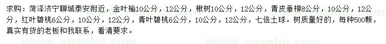 求購金葉榆、楸樹、青皮垂柳等